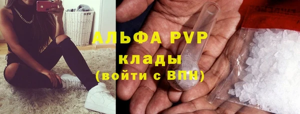молекула духа Новосибирск