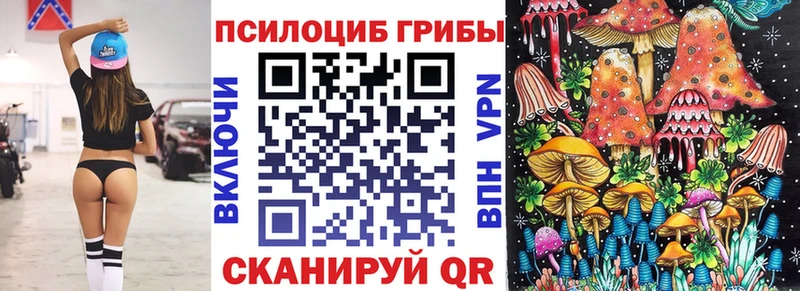 где найти   Владимир  Псилоцибиновые грибы MAGIC MUSHROOMS 