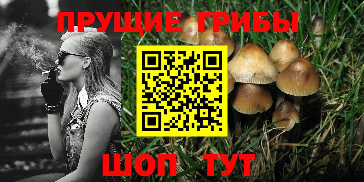 Галлюциногенные грибы мицелий Владимир