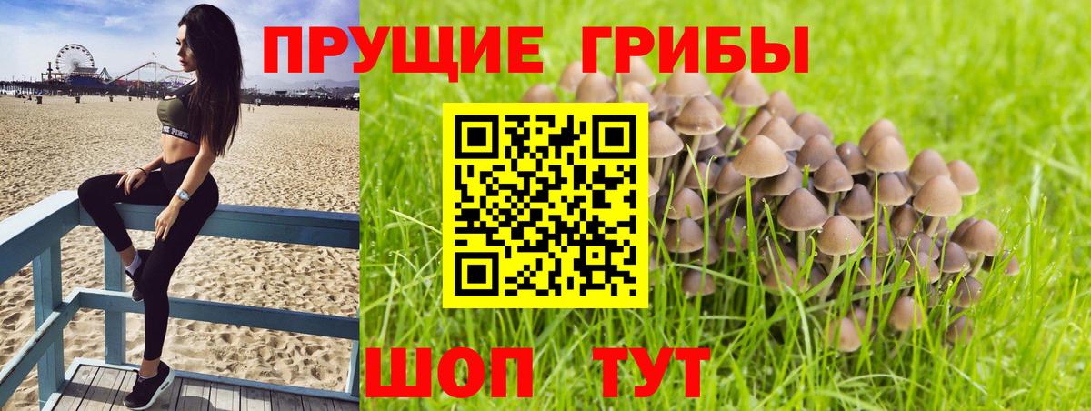 Владимир  Галлюциногенные грибы Magic Shrooms  Вход с VPN 